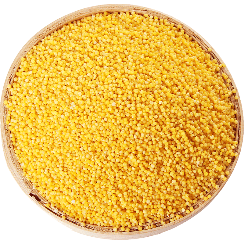 河北小米特产包邮 5斤 邯郸农家五谷杂粮食用吃的粮食新米小黄米