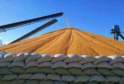 中国买家大批取消美玉米订单,美媒称退单潮将继续,欧盟开始担忧