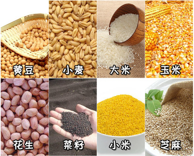 大豆小麦除杂筛选机/谷物粮食去杂机