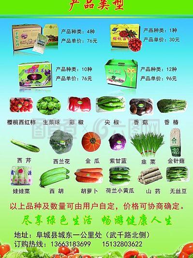 蔬菜产品类型图片