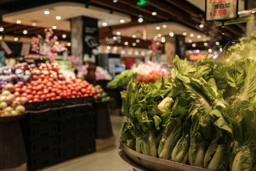 青菜蔬菜商场超市商品货物摄影图 摄影